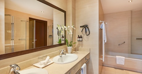 Room Habitación Premium